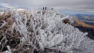 冬到来、阿蘇山に白く輝く霧氷