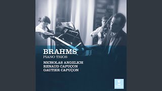 Piano Trio No. 1 in B Major, Op. 8: I. Allegro con brio
