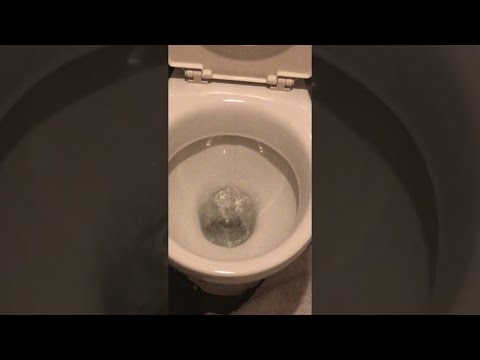 Water Bubbles Warble in Troubled Toilet Bowl || ViralHog