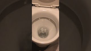 Water Bubbles Warble In Troubled Toilet Bowl Viralhog