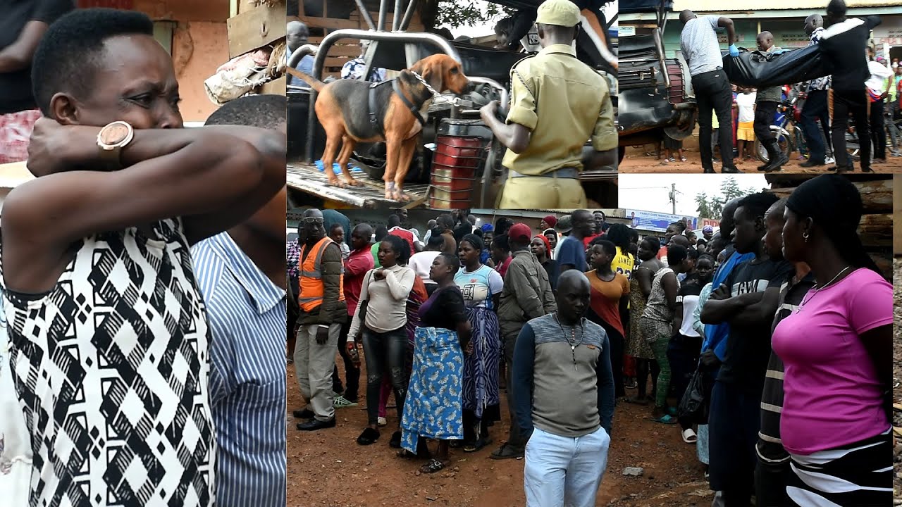 Atiddwa mu bukambwe nga bamaze musobyako embwa ya police laba kyeekoze, bagamba abadde Malaaya