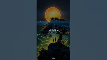 ﴿ قُلْ أَرَأَيْتُمْ إِن جَعَلَ اللَّهُ عَلَيْكُمُ النَّهَارَ سَرْمَدًا  القارئ محمد صديق المنشاوي