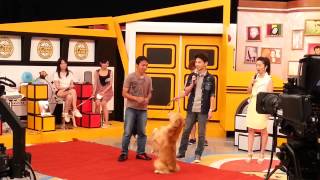 大學生了沒20120830專訪互動篇(鹿和訓犬)13