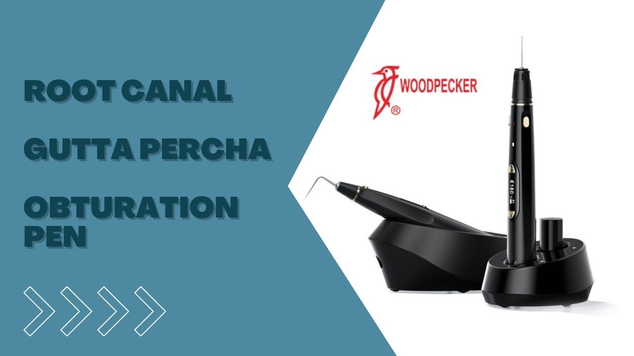 DTE Woodpecker Gutta Percha Obturation System Fi-E | VSDent