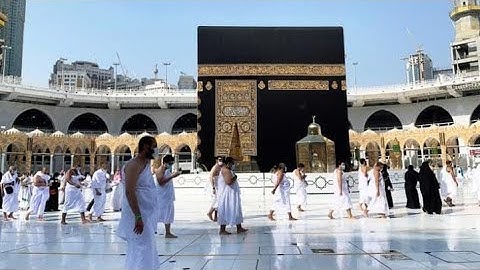 سورة المؤمنون بصوت الشيخ آنس العمادي