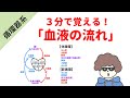 【3分で覚える!】血液の流れ(肺循環と体循環)