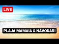 🔴 LIVE din MAMAIA & NĂVODARI - Pe plajă într-o superbă zi de primăvară