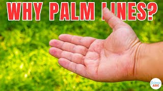 Why Do We Have Lines On Our Palms?
