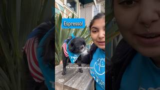 Adopt Espresso! Learn more on our website: www.pomdr.org