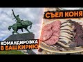 Командировка в Башкортостан. Местная кухня! Business Trip to BASHKORTOSTAN. HORSE MEAT |ENG SUBs|