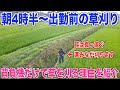 【出勤前の草刈り】兼業米農家の朝は早い 30代米作り奮闘記#93
