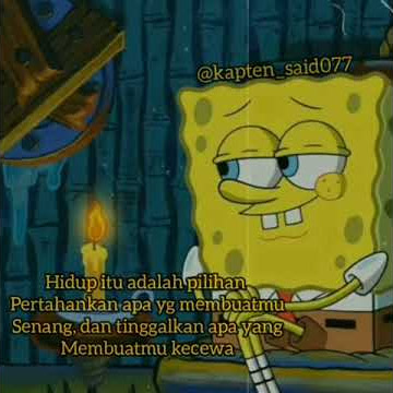 SpongeBob story wa