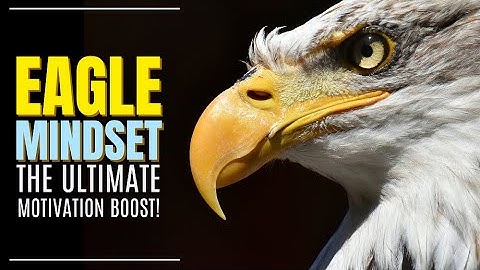 Eagle Mindset: The Ultimate Motivation Boost!