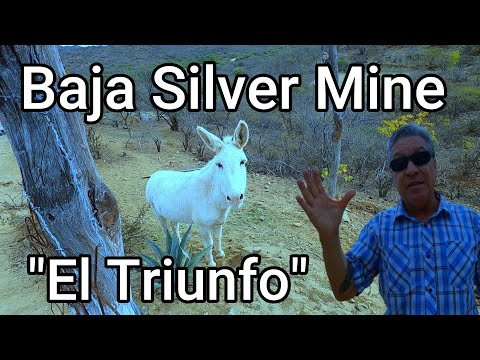 Baja's Silver Mine, "El Triunfo"  1750--1930