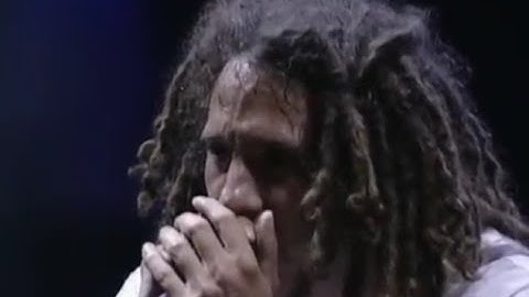 Rage Against the Machine - Vietnow | Live at Woodstock 99 (East Stage)