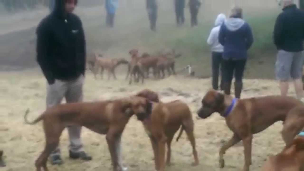 Rainbow Hill 2015 make-up tutorial for beginners