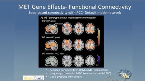 Linking Genes Brain and Behavior in Autism Spectrum Disorder