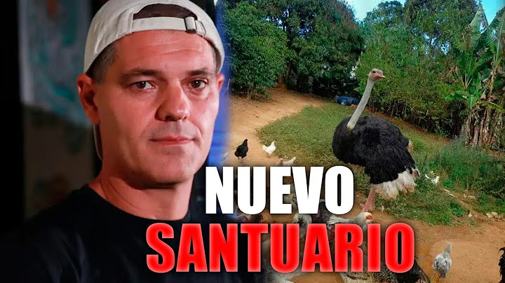 ¡BOMBAZO! Frank Cuesta deja Tailandia y SE ESCAPA a Australia