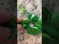 Cake OR Fidget Toy Mrs Bench Cake OR Fidget Toy Mrs Bench