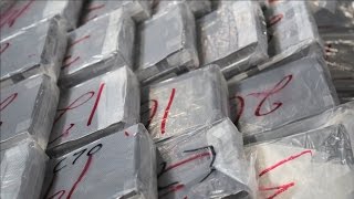 Largest ever cocaine bust in Toronto
