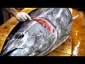 How to care for special areas of tuna - Kiln road / 생참치 특수부위 가마살 회뜨기 /  Making tuna kiln sashimi