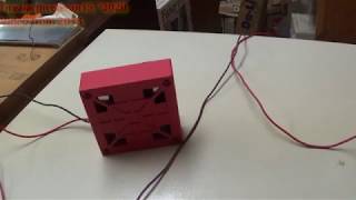 Mini Test 61