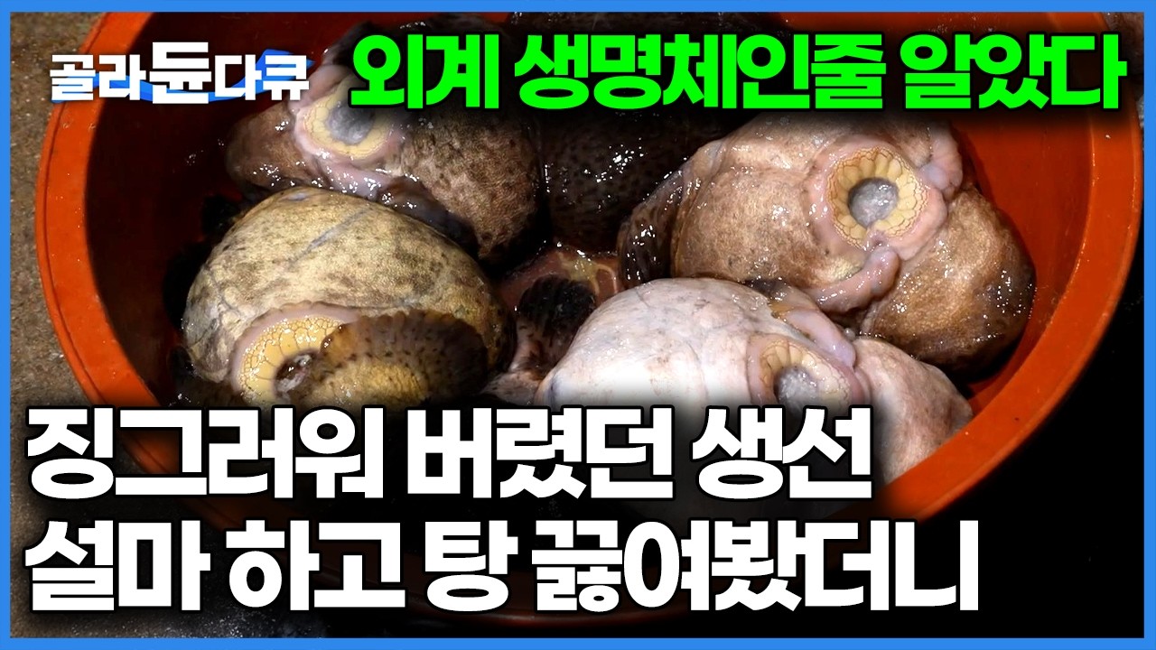맛있는 거 들통났다, 예전엔 잡히면 다 버렸는데 지금은 금값이네 맛집에서 다 사 간다｜한국기행｜#골라듄다큐