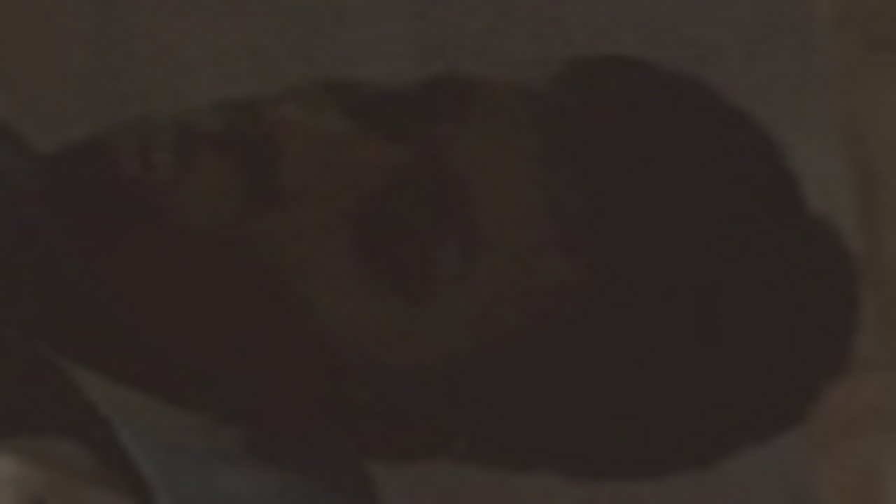 Dishonored 2: I close the door on Meagan Foster again