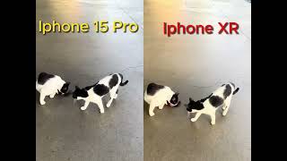 Which is Better: Iphone 15 Pro Vs Iphone XR | Can You Notice the Difference