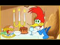 Woody Woodpecker 2018 | Baby It's Cold | Kids Movies | 1 Hour Compilation | Kids Cartoon