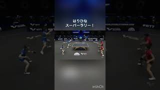 張本智和・早田ひな はりひなペア すごいラリー WTT スターコンテンダー!
