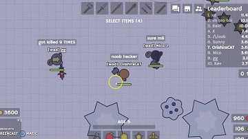 Moomoo.io Hackers Exposing #1
