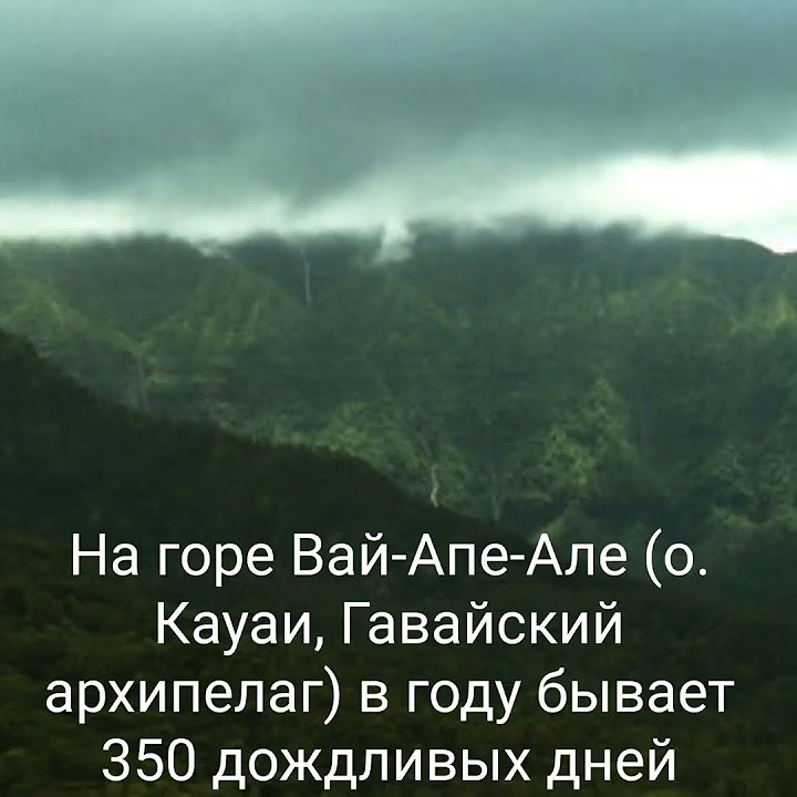 На горе Вай-Апе-Але (о. Кауаи, Гавайский архипелаг) в году бывает 350 ...