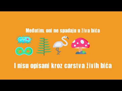 Video: Šta je pleomorfni virus?