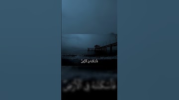 تلاوة هادئة للشيخ محمد اللحيدان من سورة المؤمنون