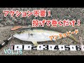 アクション不要！投げて巻くだけビッグバッカー アンチョピード【青物VOL.16】