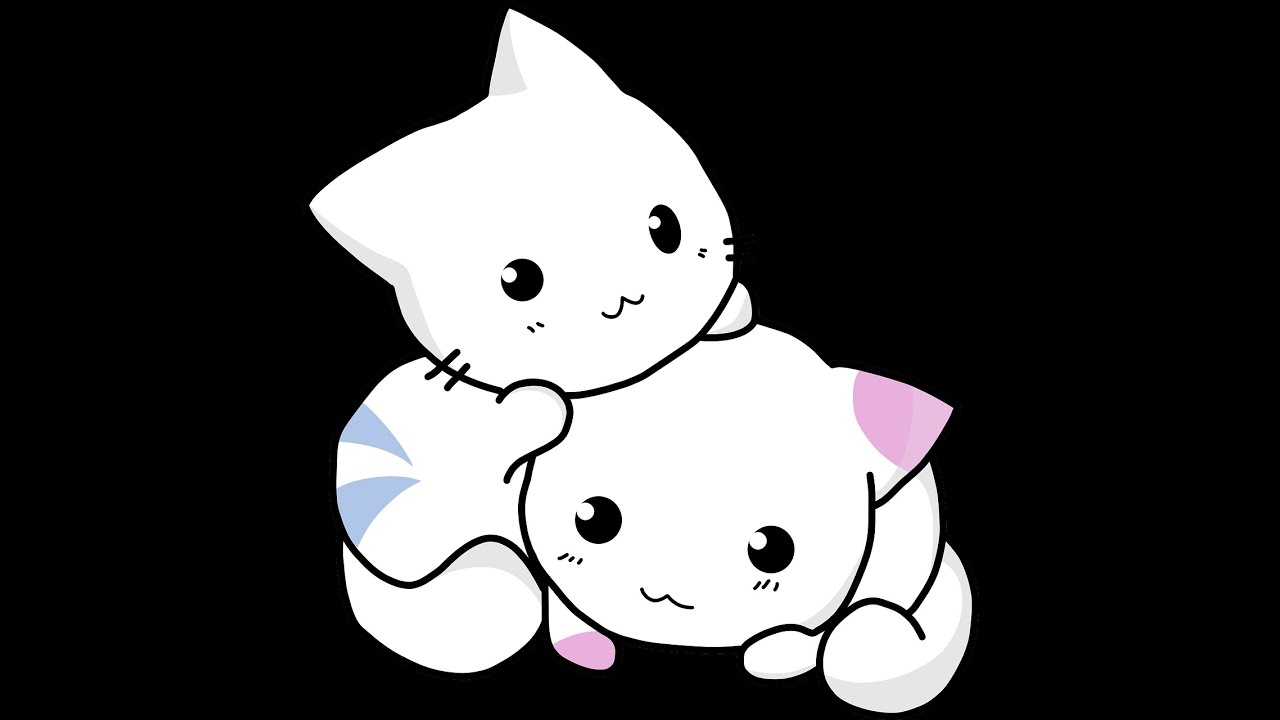 Best Cats Compilation