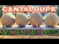 Rifles VS Cantaloupe 5.56 7.62x39 .270 Winchester .450 Bushmaster