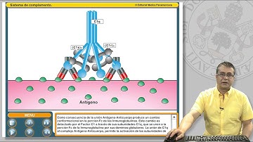 11.1 EL SISTEMA DE COMPLEMENTO Y SUS RECEPTORES.