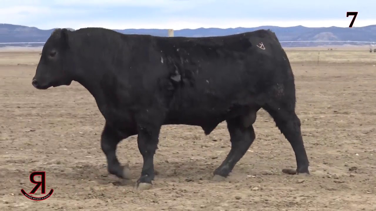 Reverse Rocking R Ranch Lot 7 - YouTube