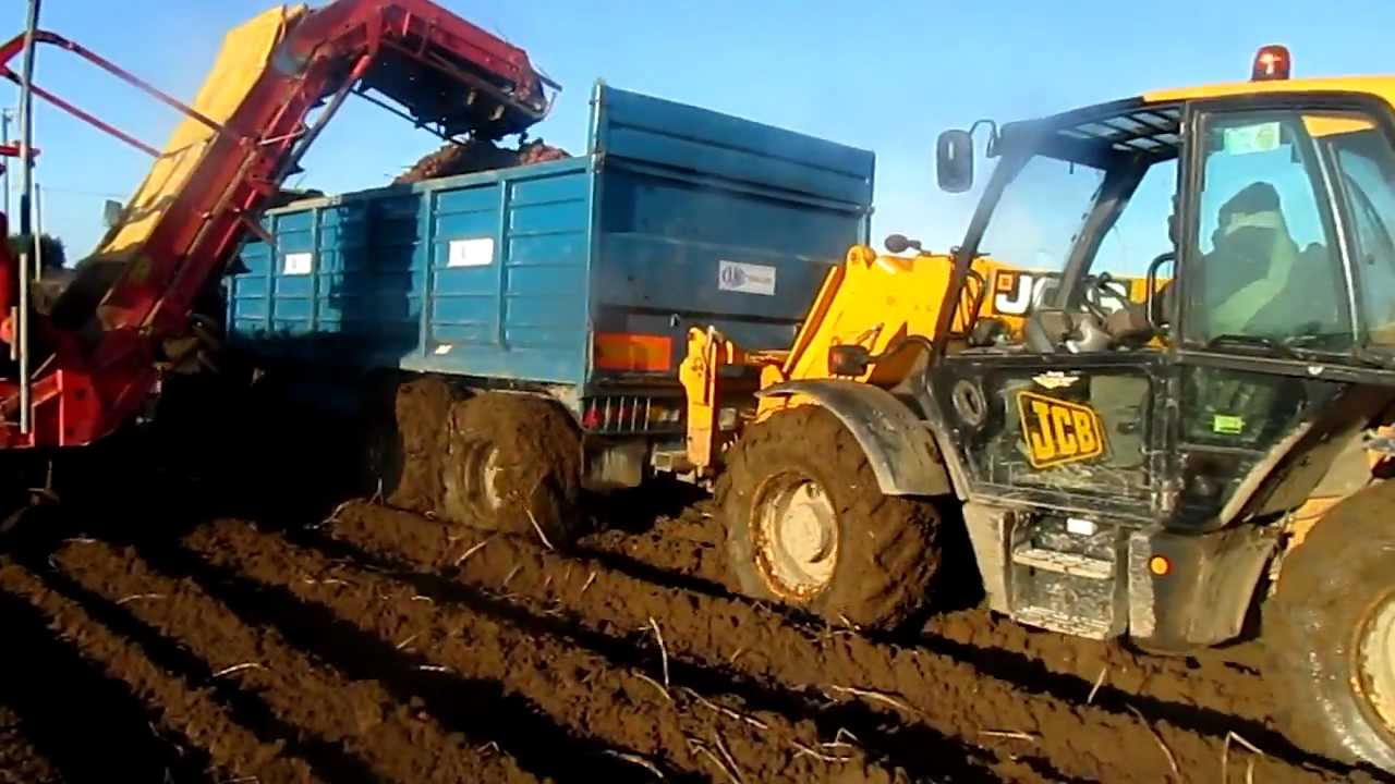 Tractor JCB
