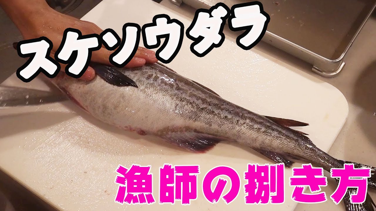 円山教授の裏チャンネル Youtube Channel Analytics And Report Powered By Noxinfluencer Mobile