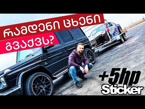 რამდენი ცხენი აქვს ჩვენს სილვიას? Dyno Day