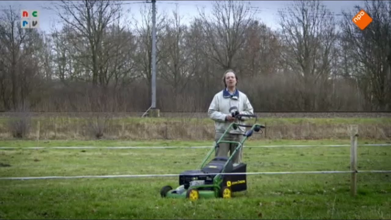 Maarten Westhof - Man Bijt Hond