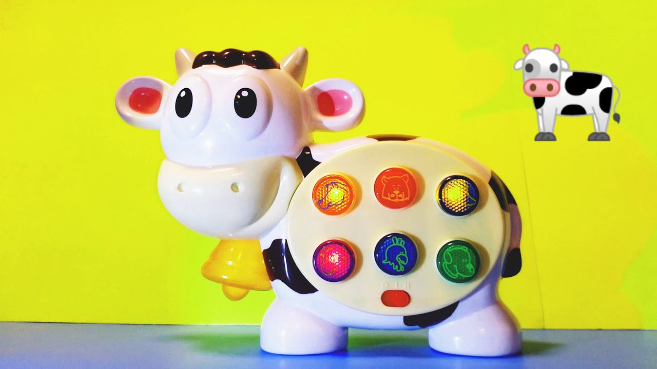 the learning journey cow