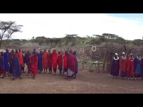Video: Ngorongoro Conservation Area: Popoln vodnik