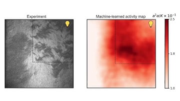 Machine Learning Active Nematics Hydrodynamics - Movie 1