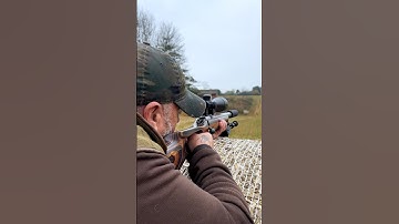 The Silent Assassin: Testing 22LR Subsonic Ammo