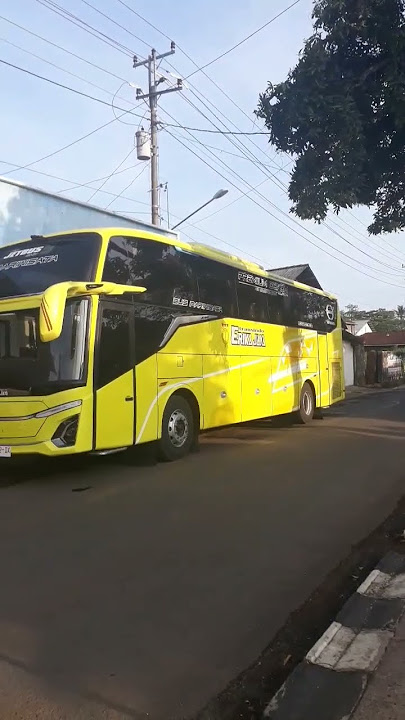 BARU !! RILIS JETBUS 5 PO ERIKA JAYA