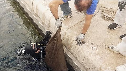 Два простых способа очистить побережье от мусора